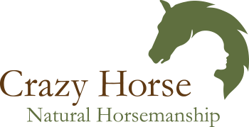 Crazy Horse Natural Horsemanship - Compassionate Horse Training Services in Sammamish WA.