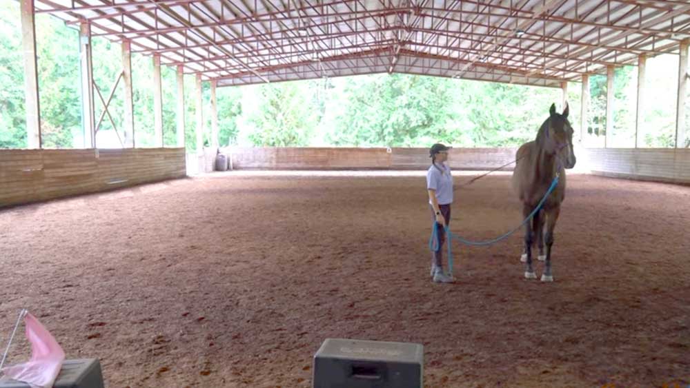 Crazy Horse Natural Horsemanship - Horse Training Clinic Video