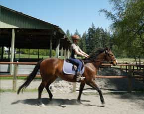 Crazy Horse Natural Horsemanship - Liberty Horse Training Services in Sammamish WA.