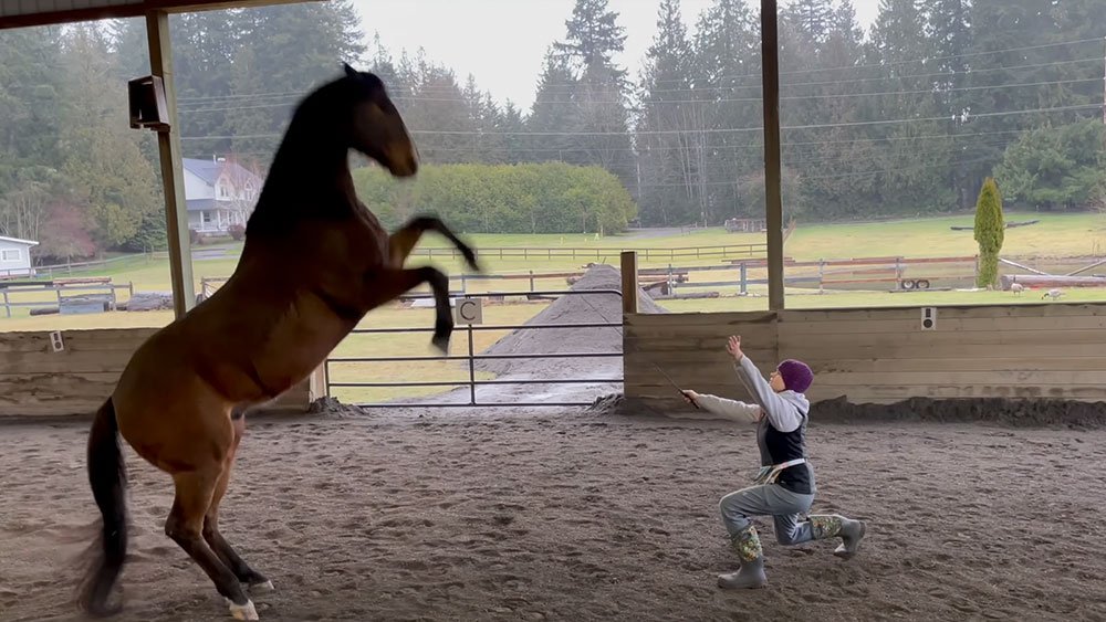 Crazy Horse Natural Horsemanship - Compassionate Horse Training Services in Sammamish WA.