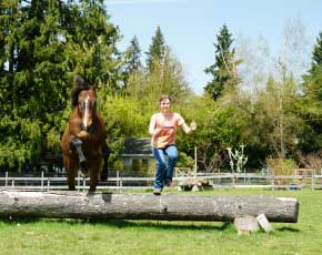 Crazy Horse Natural Horsemanship - Liberty Horse Training Services in Sammamish WA.