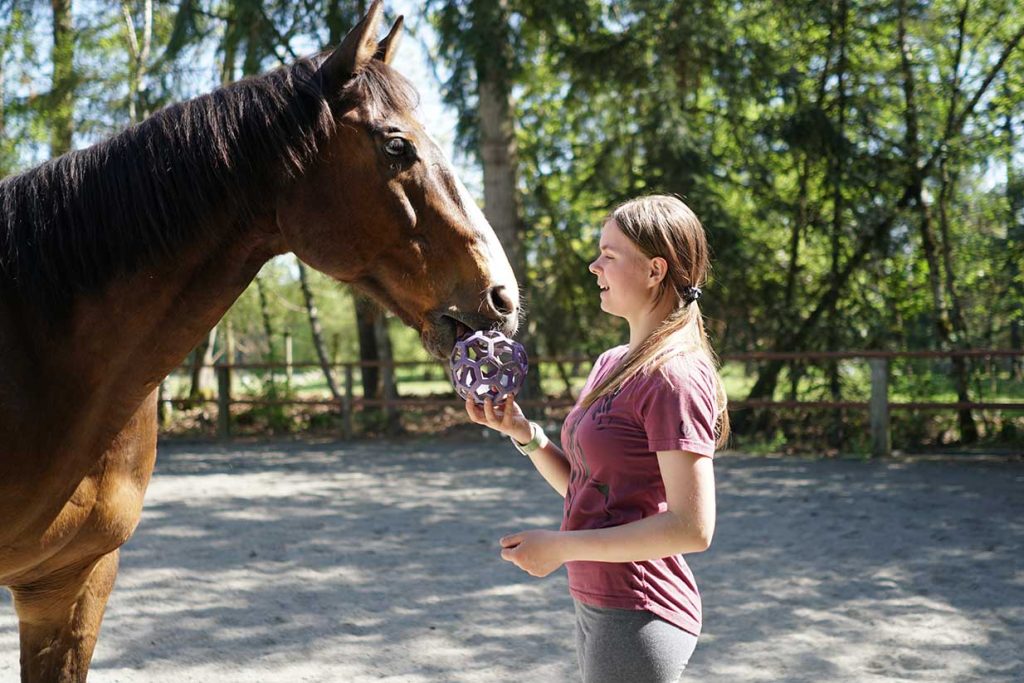 Crazy Horse Natural Horsemanship - Trick Horse Training Services in Sammamish WA.